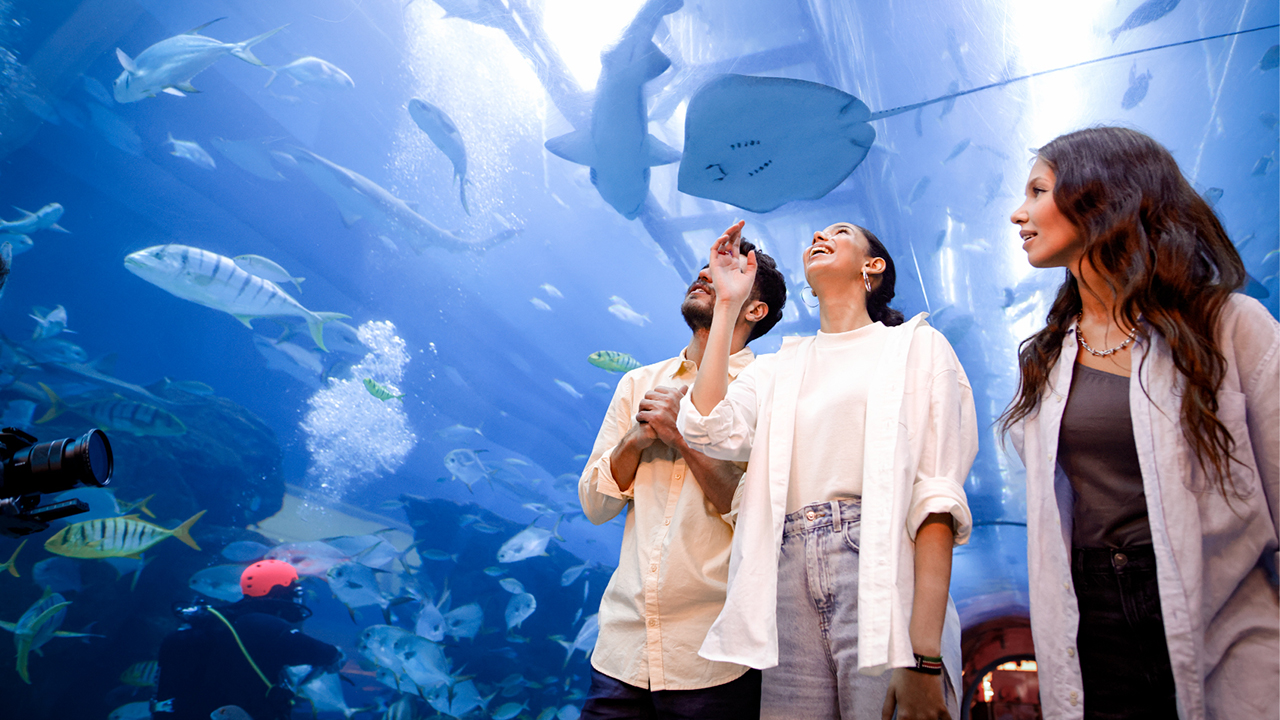 EEG-CO-25-034-Images for Sales_ DAUZ_1280x720px