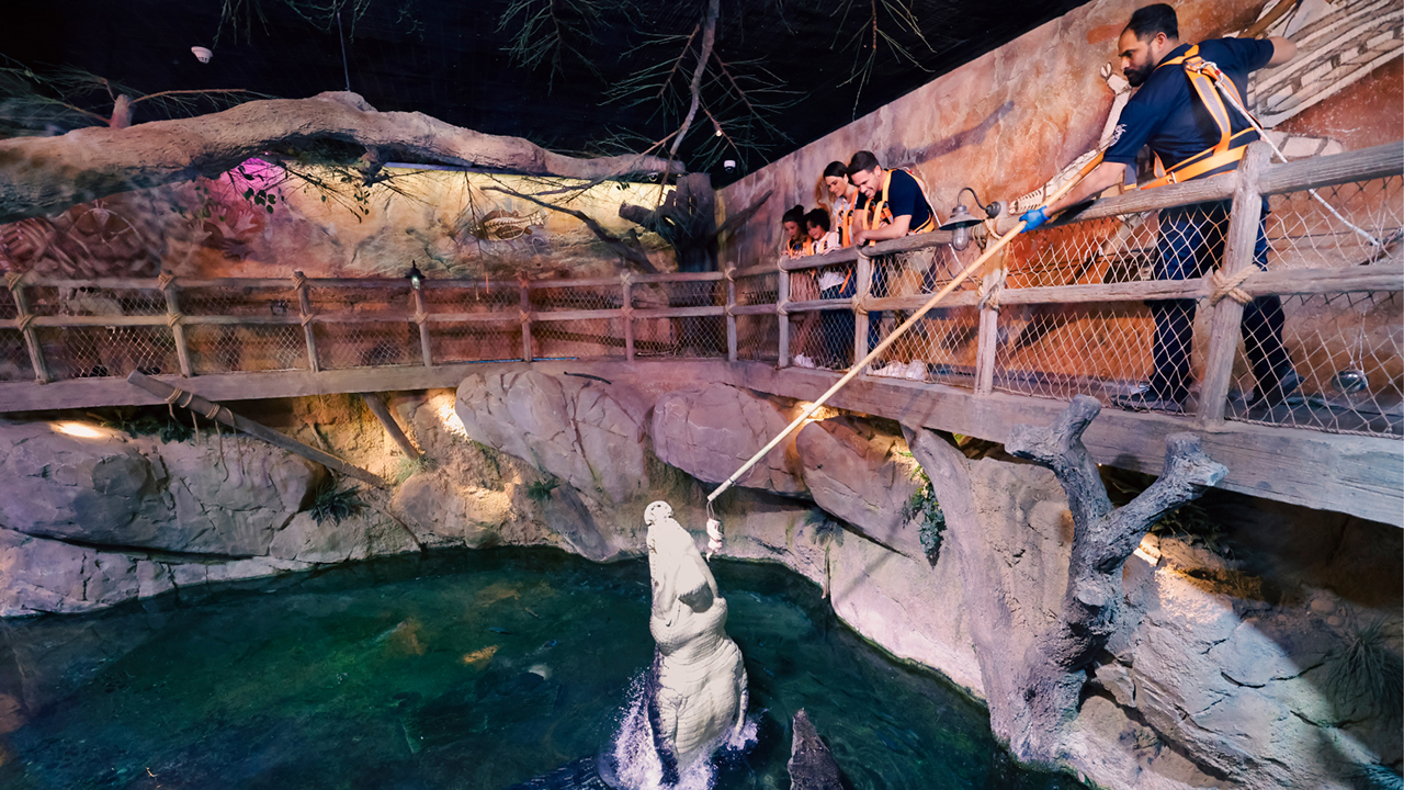 EEG-CO-25-034-Images for Sales_ DAUZ_1280x720px