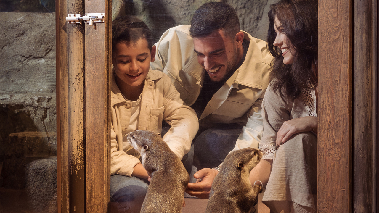 EEG-CO-25-034-Images for Sales_ DAUZ_1280x720px