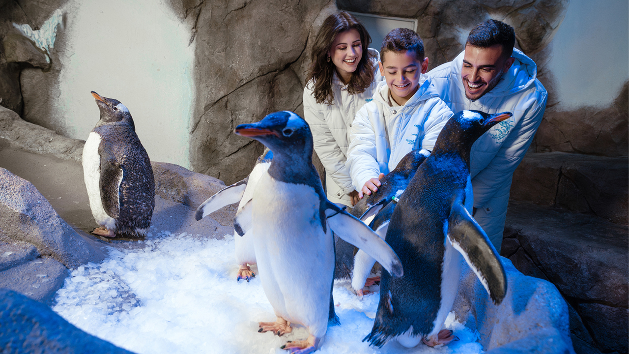 EEG-CO-25-034-Images for Sales_ DAUZ_1280x720px