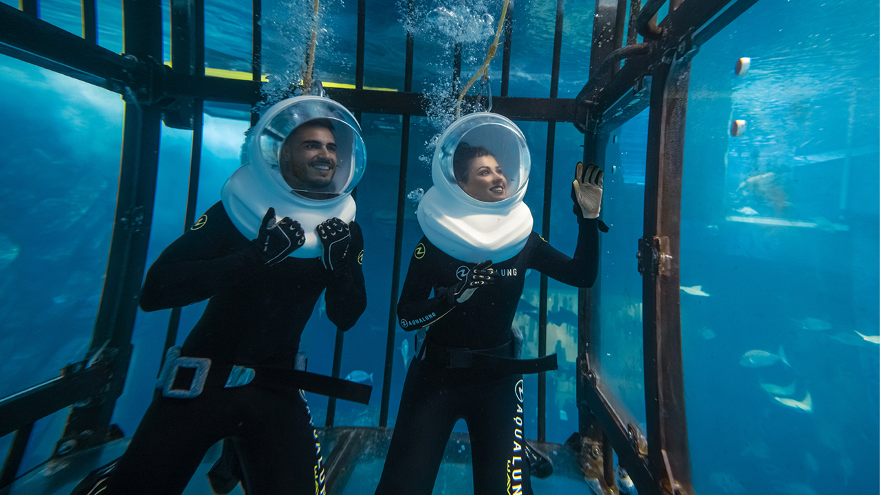 EEG-CO-25-034-Images for Sales_ DAUZ_1280x720px